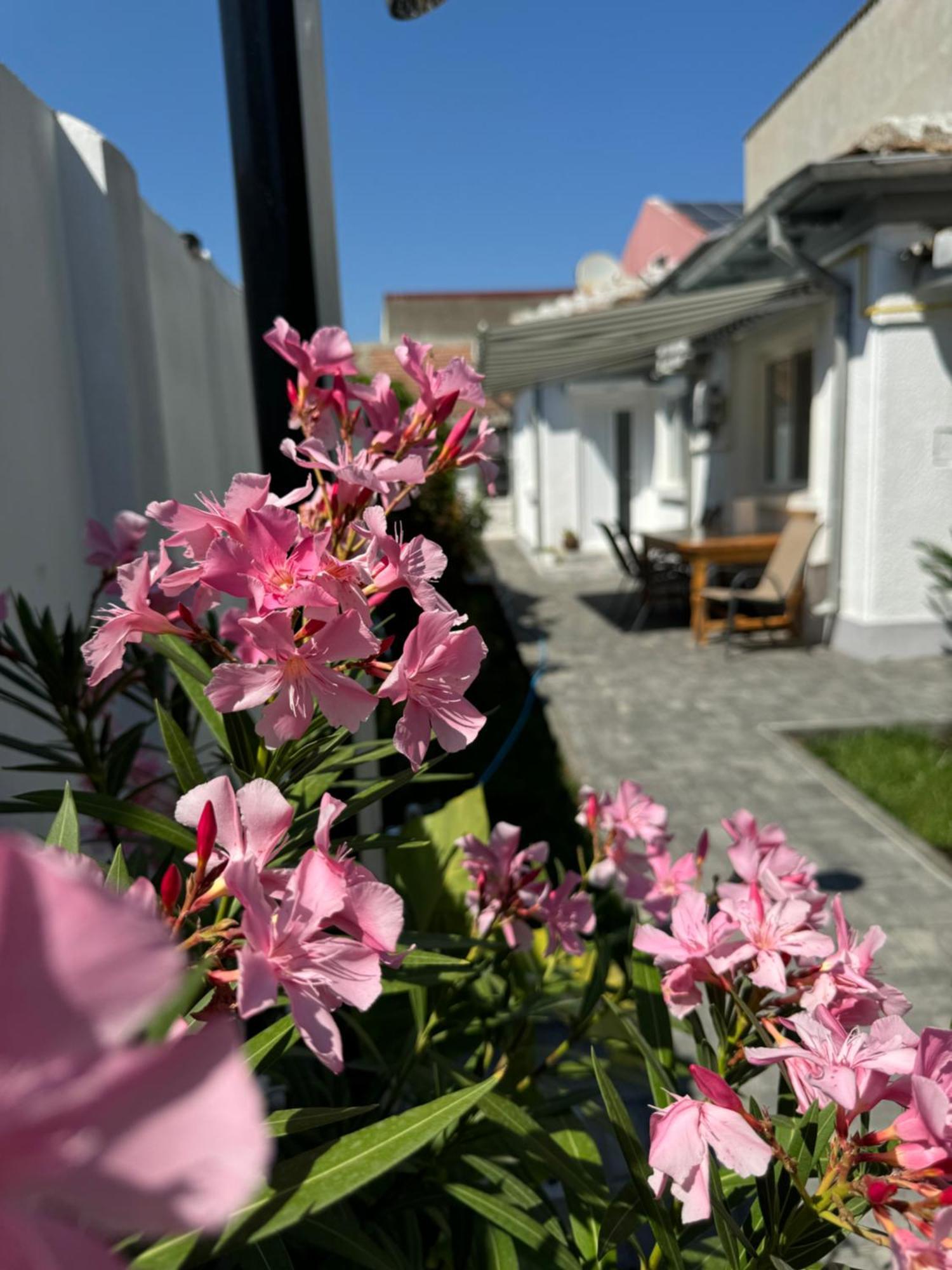 Nord 22 Villa Constanta Bagian luar foto